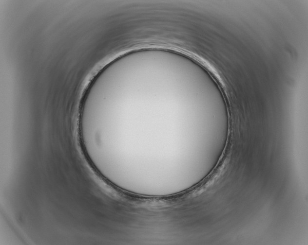 X0000113861525200909241015