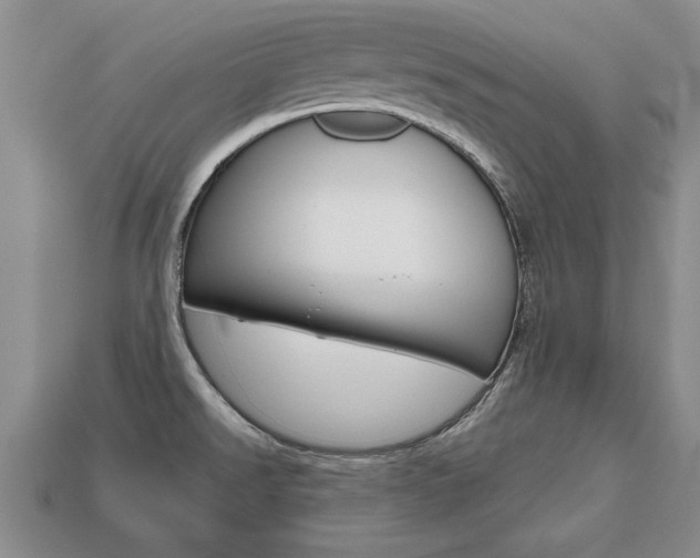 X0000113861526200909241015