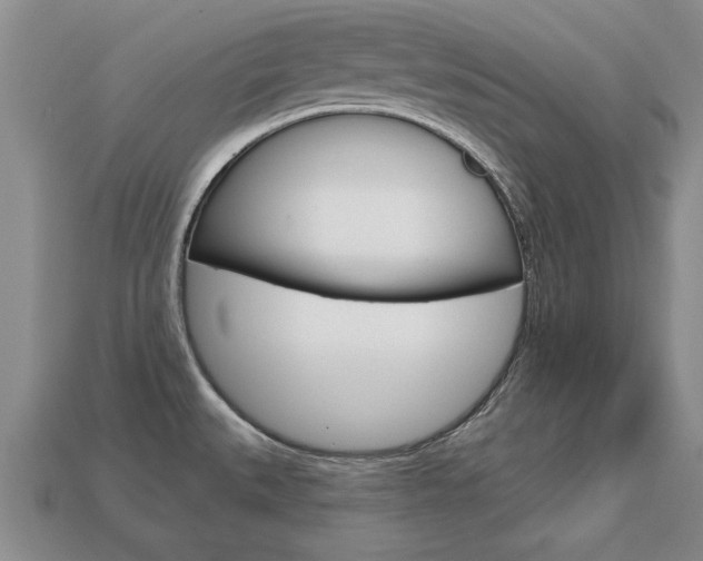 X0000113861527200909241015