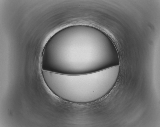 X0000113861528200909241015