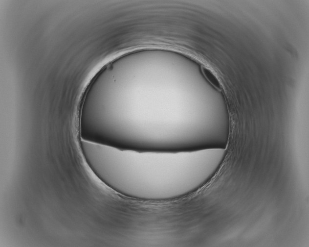 X0000113861531200909241015