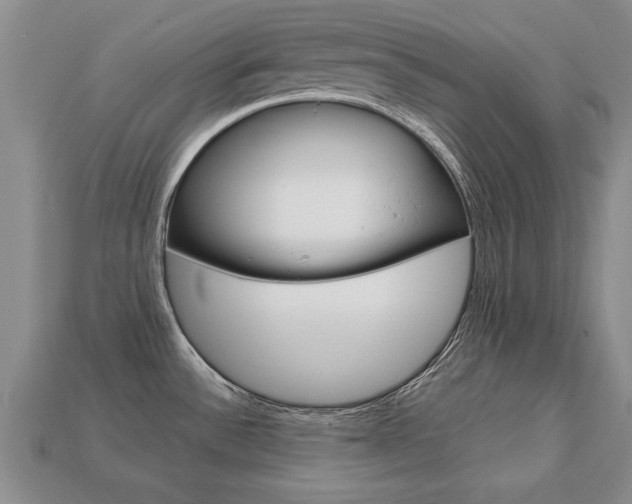 X0000113861532200909241015