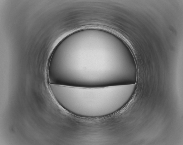 X0000113861533200909241015