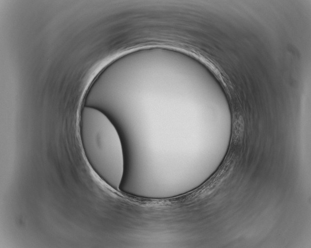 X0000113861535200909241015