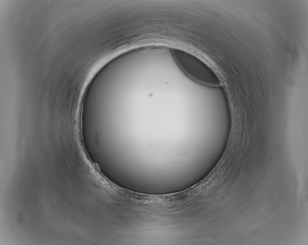 X0000113861536200909241015