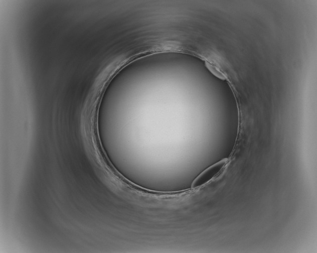 X0000113860001200909241317