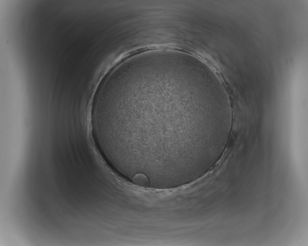 X0000113860002200909241317