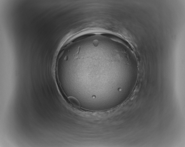 X0000113860003200909241317