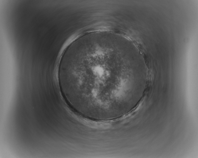 X0000113860004200909241317