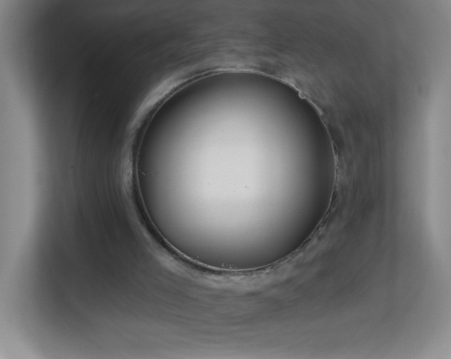 X0000113860005200909241317