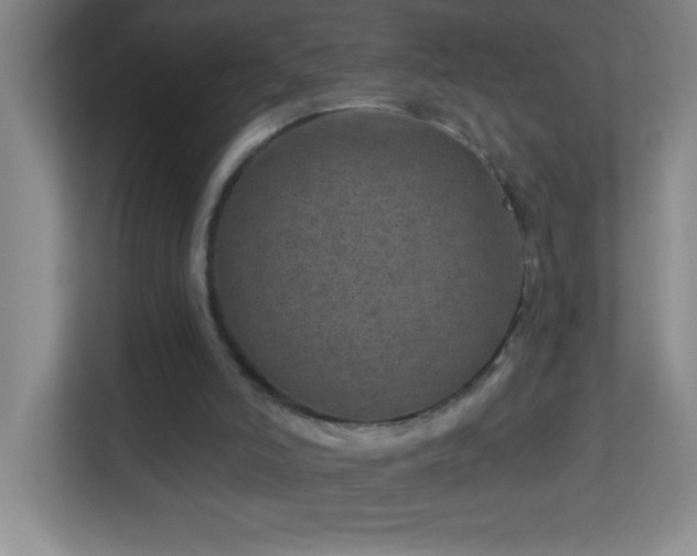 X0000113860006200909241317