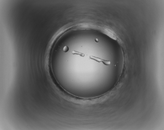 X0000113860007200909241317