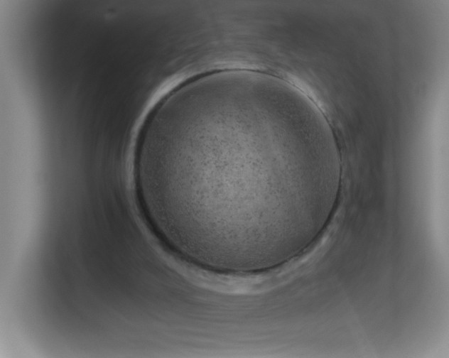X0000113860008200909241317