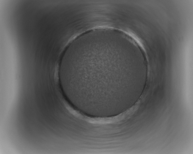 X0000113860009200909241317
