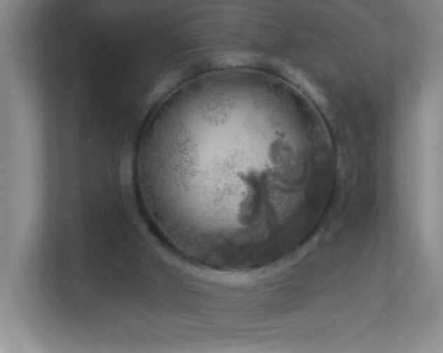 X0000113860010200909241317