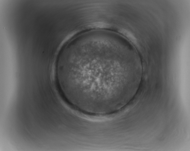 X0000113860012200909241317