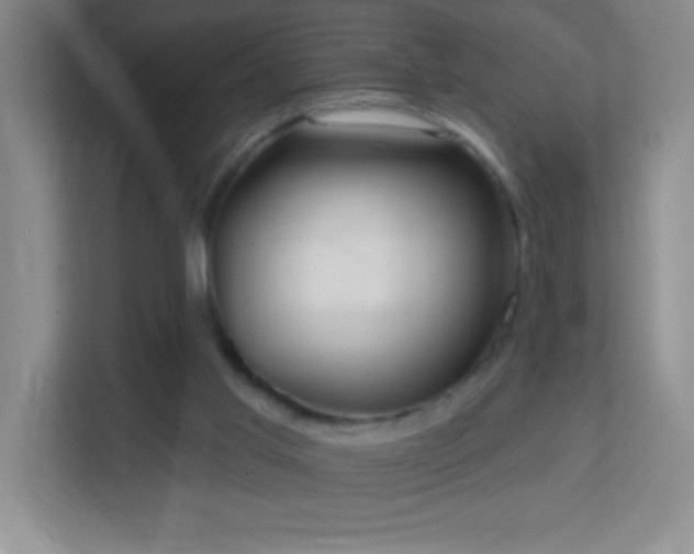 X0000113860013200909241317