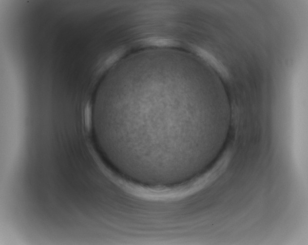 X0000113860014200909241317