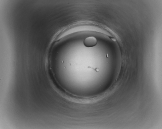 X0000113860015200909241317