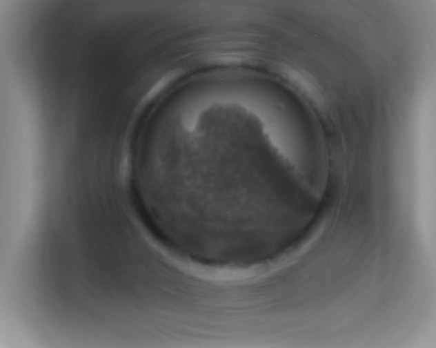 X0000113860016200909241317