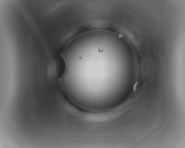 X0000113860017200909241317