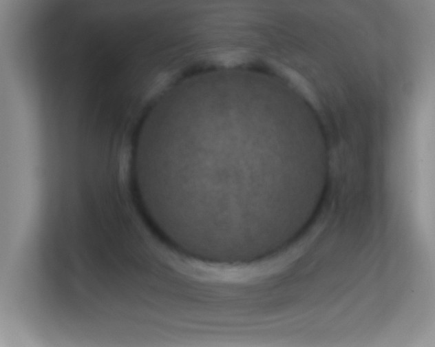 X0000113860018200909241317
