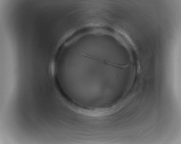 X0000113860019200909241317