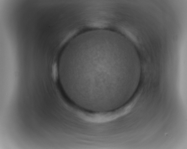 X0000113860020200909241317