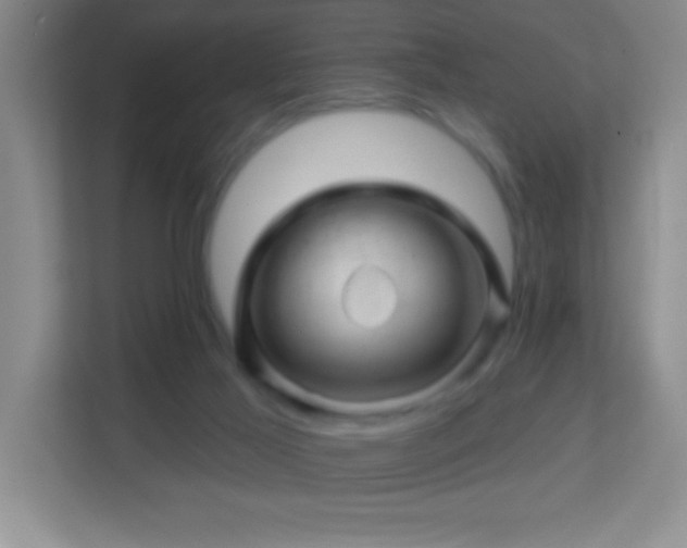 X0000113860021200909241317