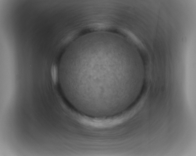 X0000113860022200909241317