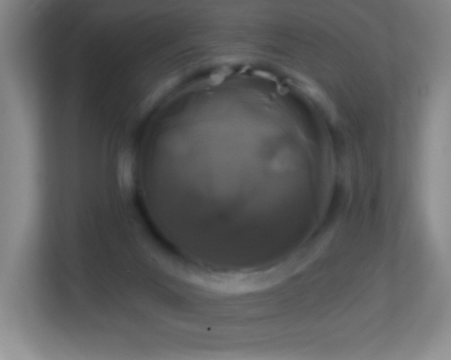 X0000113860023200909241317