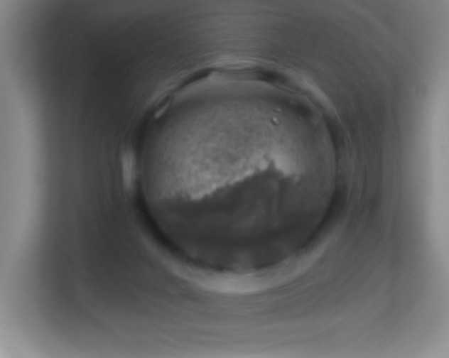 X0000113860024200909241317