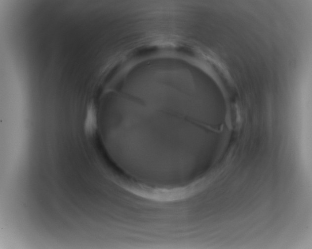 X0000113860027200909241317
