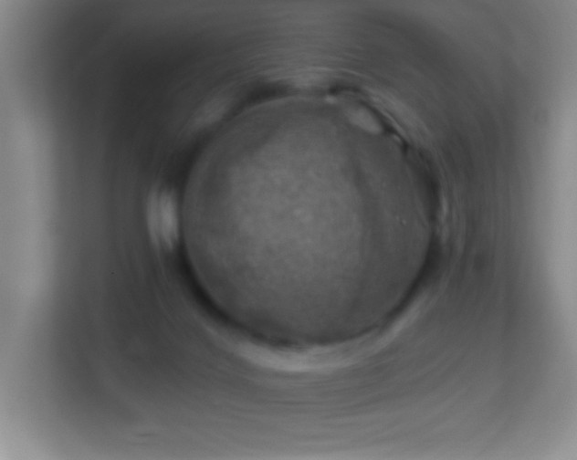 X0000113860028200909241317