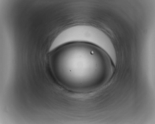 X0000113860029200909241317