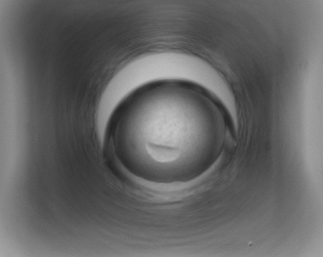 X0000113860031200909241317