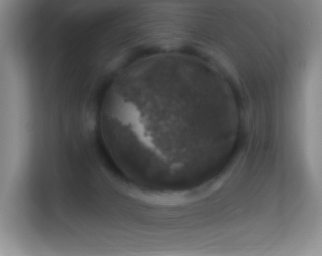 X0000113860032200909241317