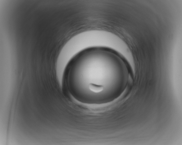 X0000113860033200909241317