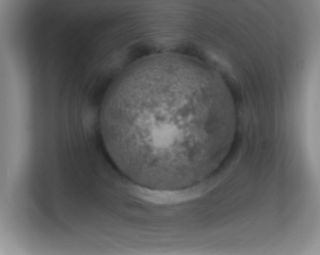 X0000113860034200909241317
