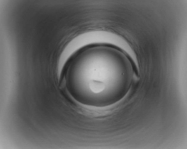 X0000113860035200909241317