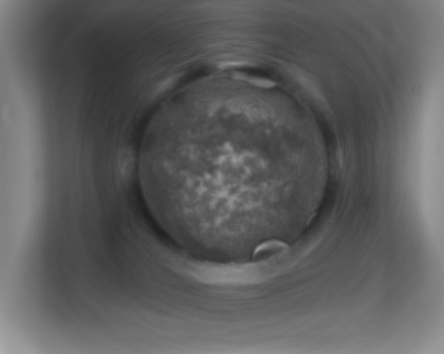 X0000113860036200909241317