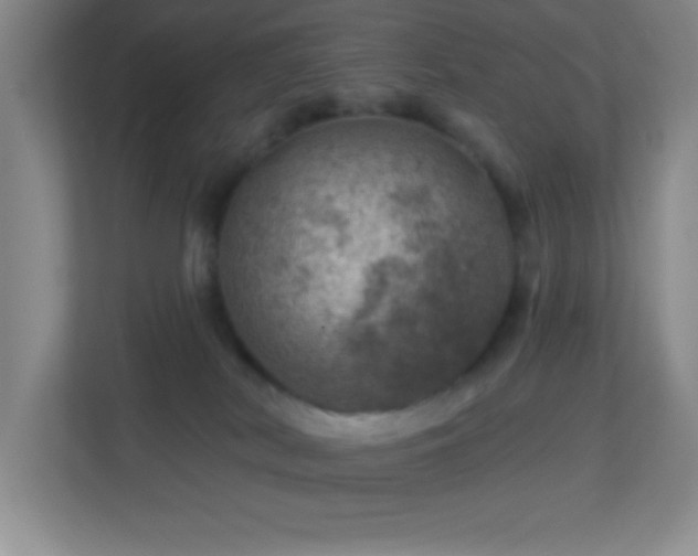 X0000113860038200909241316