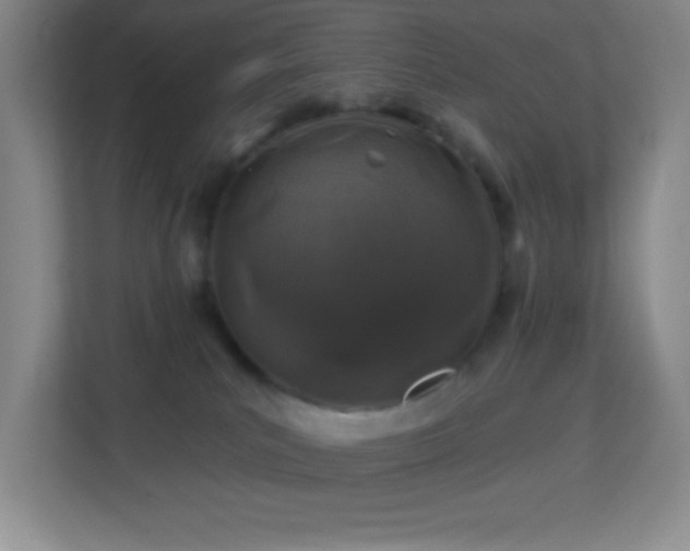 X0000113860039200909241316