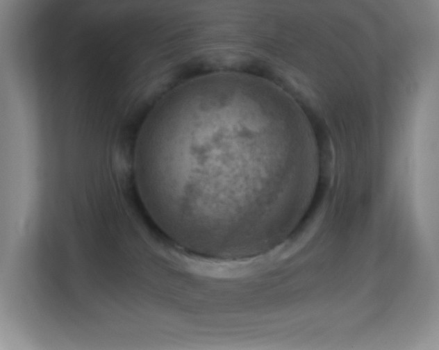 X0000113860040200909241316