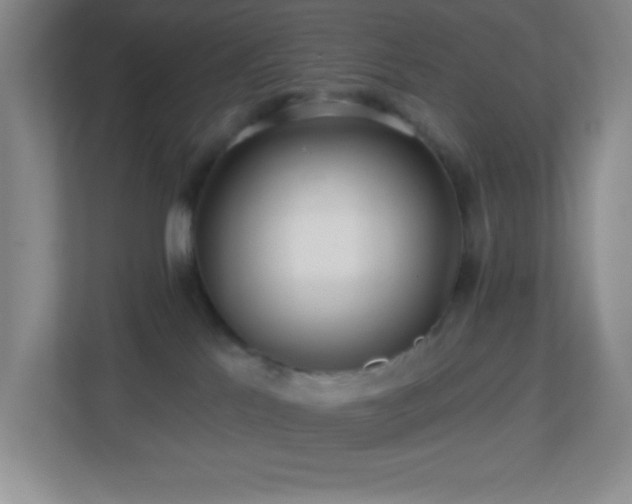X0000113860041200909241316
