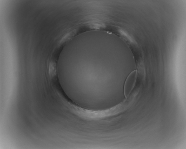 X0000113860043200909241316