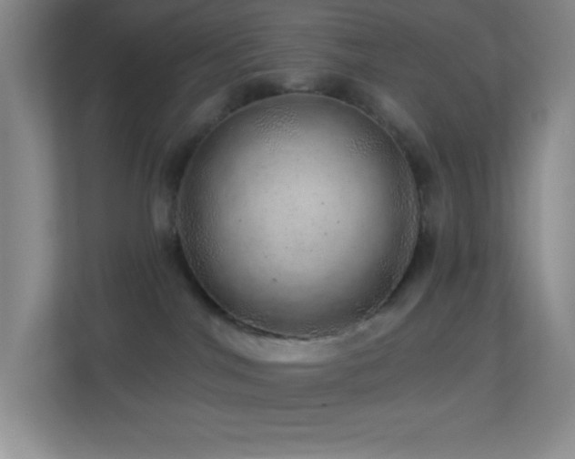 X0000113860044200909241316
