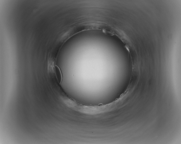 X0000113860045200909241316