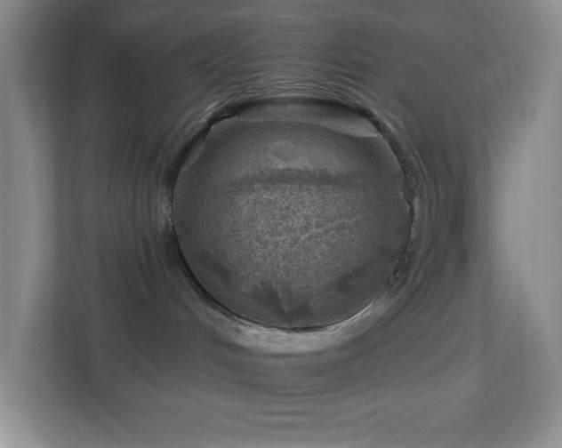 X0000113860048200909241316