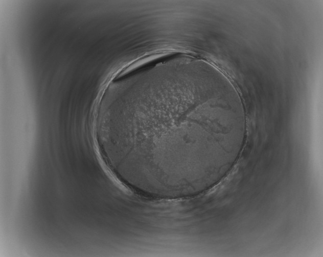 X0000113860049200909241316